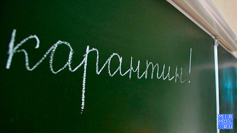 Прерванная из-за карантина учеба в школах и детсадах Владикавказа возобновится 6 марта