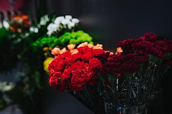 В Приморье перед 8 Марта поставили 70 тысяч цветов из Китая