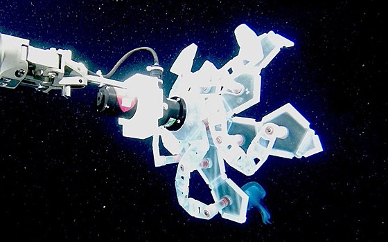 Робот-додекаэдр сможет бережно ловить медуз