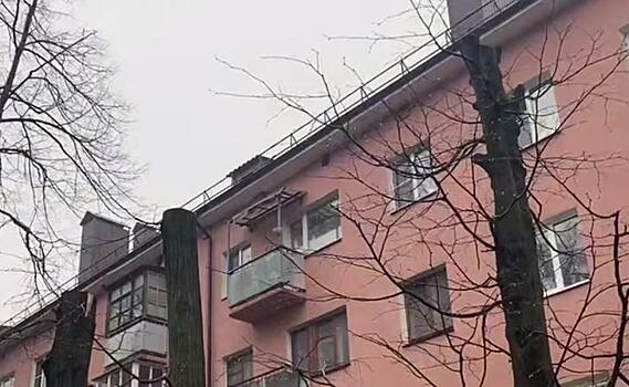 В Курске УК несанкционированно обрезала 10 лип