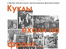 «Куклы ехали на фронт…» - фотовыставка Озёрского «Золотого петушка»