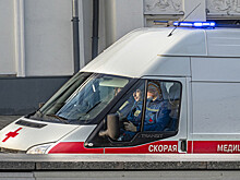 В Москве из отеля госпитализировали 16 детей