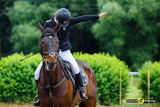 Под Рязанью прошли конные соревнования