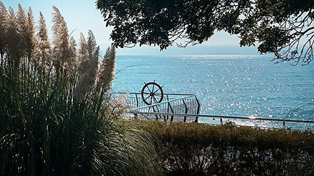 Более одной тысячи детей отдохнут в "Артеке" до четвертого августа