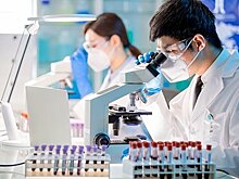 Создан выявляющий болезнь Альцгеймера анализ крови