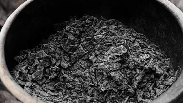 Саратовцам предложили заработать на древесном угле до полумиллиона в месяц