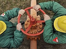 Французская партия раскритиковала правительство из-за закупок газа в США