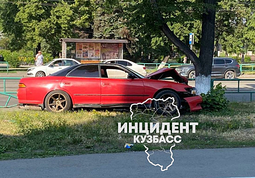 Автомобиль врезался в дерево в Новокузнецке