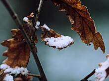 От мороза к дождю: переменчивая погода ждет Приморье на выходных