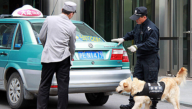 Шанхайская полиция раскрыла крупную мошенническую схему