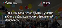100 юных волонтеров приняли участие в Слете добровольческих объединений Ленобласти