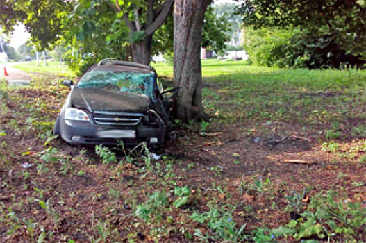 В Тамбовской области автомобилист погиб, врезавшись в дерево