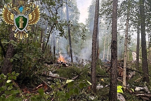 Родным погибших в крушении Ан-24 в Амурской области выплатят материальную помощь