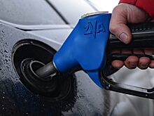 Экономист рассказал, где можно найти дешевый бензин