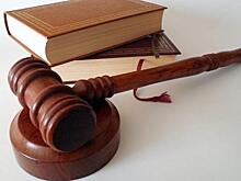 Рязанский облсуд отказал снять арест с имущества экс-замминистра здравоохранения Ирины Петиной
