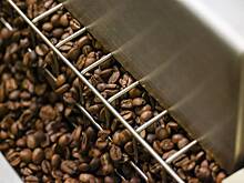 Названы главные поставщики кофе в Россию