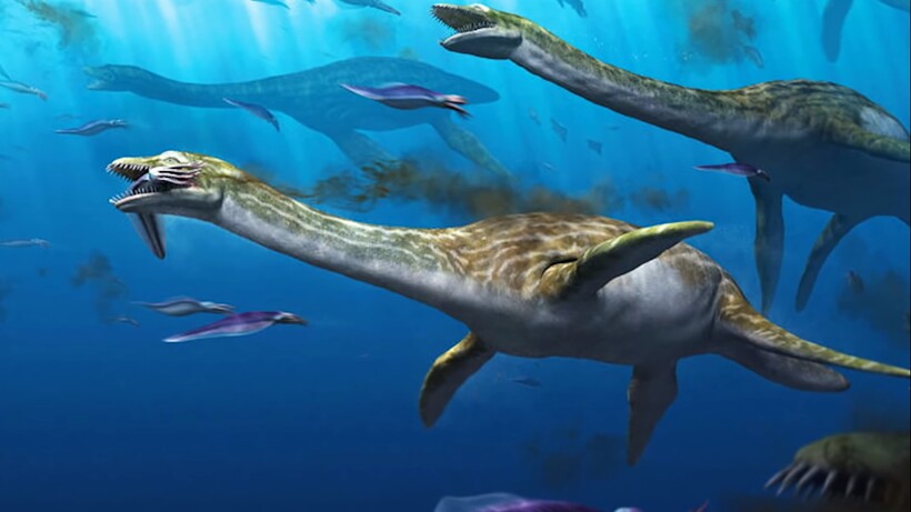 Current Biology: палеонтологи нашли роддом древних ихтиозавров в американском штате Невада