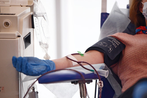 Российские парламентарии хотят приравнять донорство крови к благотворительности