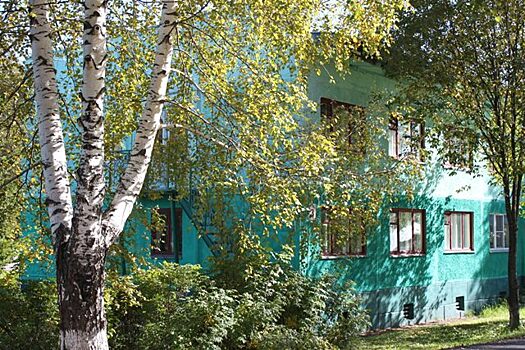 Кузбасский лагерь «Сибирская сказка» поработает обсерватором