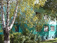 Кузбасский лагерь «Сибирская сказка» поработает обсерватором