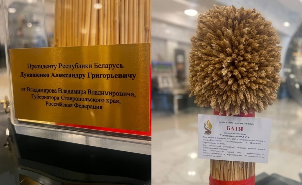 Батьке — «Батю»: губернатор Ставрополья подарил Лукашенко сноп пшеницы