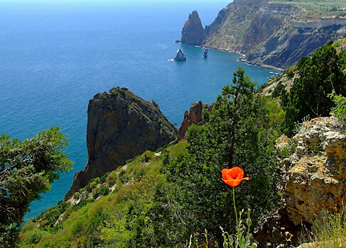 Томичи смогут улететь в Крым уже в следующем месяце