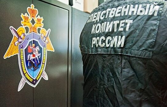 Уголовное дело заведено из-за смерти младенца при перелете с Камчатки в Хабаровск
