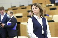 Панькина: Законопроект о повышении размера ущерба экономике находится в кабмине