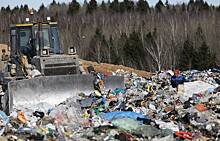 Россиянам рассказали о штрафах за мусор