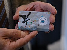 Новые читательские билеты с авторским дизайном представили во Владивостоке