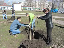 В Отрадном посадили новую Аллею Памяти