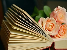 Нижегородские библиотеки 14 февраля отметят День влюблённых в книги