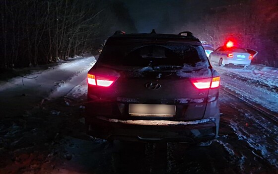 Под Рязанью водитель Hyundai сбила пешехода