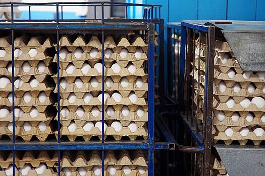Шторм на Черном море задержал поставки турецких яиц в Россию