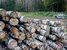 «Придется разворотить берега». В Мосгордуме заявили о кризисе экологической политики