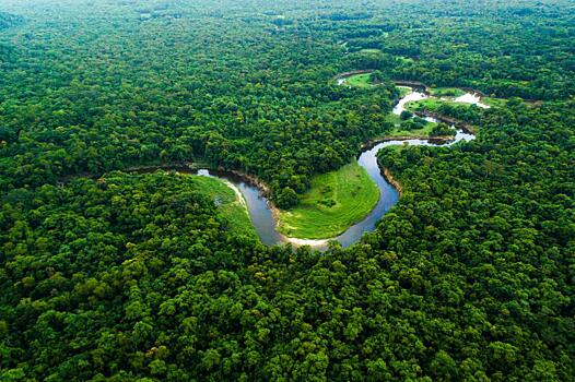 Ученые обнаружили затерянные города Амазонки