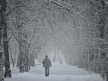 Клен пригласил нас на прогулку, но не прошел проверку на прочность