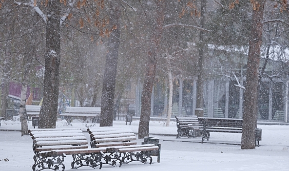 В 2023 году Центральную набережную Волгограда украсит пергола с подсветкой