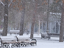 В 2023 году Центральную набережную Волгограда украсит пергола с подсветкой