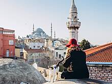 Россиянам назвали самые выгодные направления для путешествий в январе