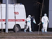 Число заразившихся коронавирусом в России выросло до 63