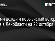 На Урале в ближайшие три дня ожидается мокрый снег и дождь
