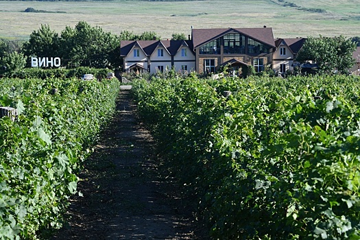 Виноделы поддержали долгожданный отраслевой законопроект и ждут второго чтения