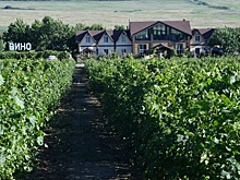 Виноделы поддержали долгожданный отраслевой законопроект и ждут второго чтения