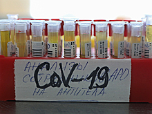 В регионе Мадрид выявили четыре случая заражения новым штаммом коронавируса