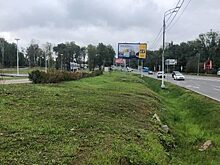 Жители поселка Отрадное высадят деревья вдоль Пятницкого шоссе