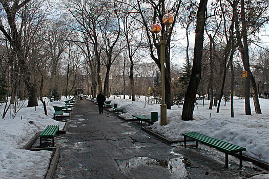 Сегодня в Саратове будет легкий морозец