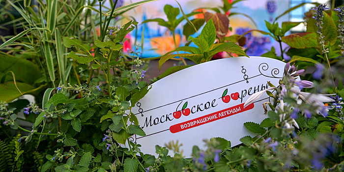 На Russpass появился маршрут по площадкам фестиваля «Московское варенье»