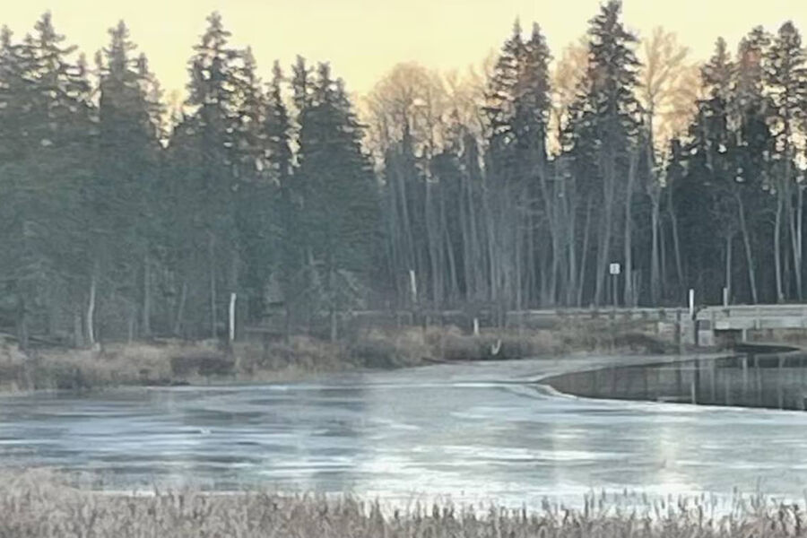В Петербурге мужчина спас провалившегося в полынью ребенка