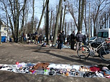 Социальный срез: Чем поживиться на калининградском блошином рынке (пока он есть)
